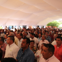 Evento en parque público con carpa